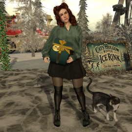 Cats Hollow goes Christmas – Every day a new gift!