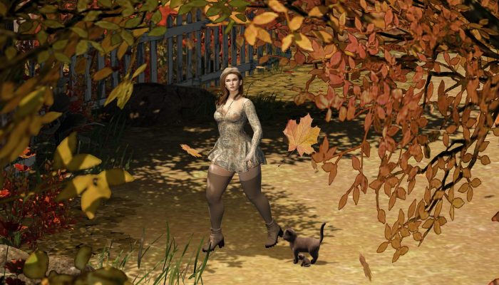 Avatar framed by autumn foliage with a playful kitten