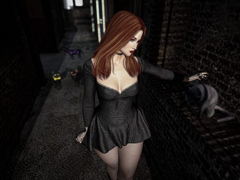 Fashionable woman viewed from above in a dim alley, cat sitting below.