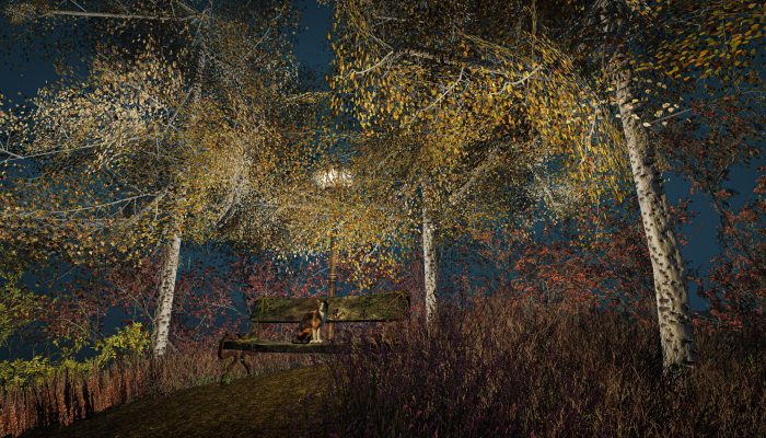 Autumn Birch Grove – A Golden Secret in Second Life Golden monarch birch leaves in autumn, lantern glowing in a magical grove, virtual scene in Cats Hollow, Second Life.