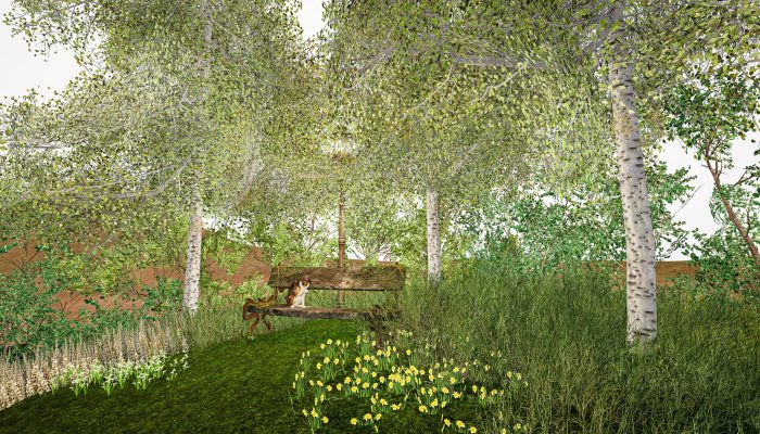 Spring Birch Grove – SecondLife Landscaping Monarch Birch trees in spring with fresh green leaves and flowers, virtual grove in Second Life.