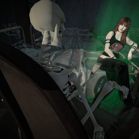 A very special encounter: The Bold Llama, Carol´s Store & Synnergy Tavis