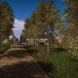 Sometimes, beauty arrives quietly – Little Branch Black Walnut Tree